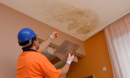 Hướng dẫn bạn cách xử lý trần thạch cao bị mốc nhanh nhất